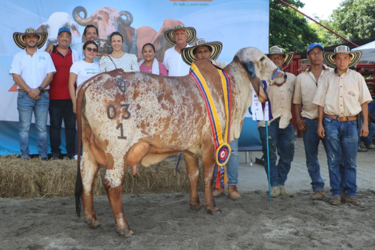Ganadería El Cristal