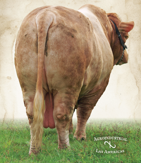Agroindustrial Las Américas