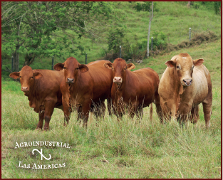 Agroindustrial Las Américas