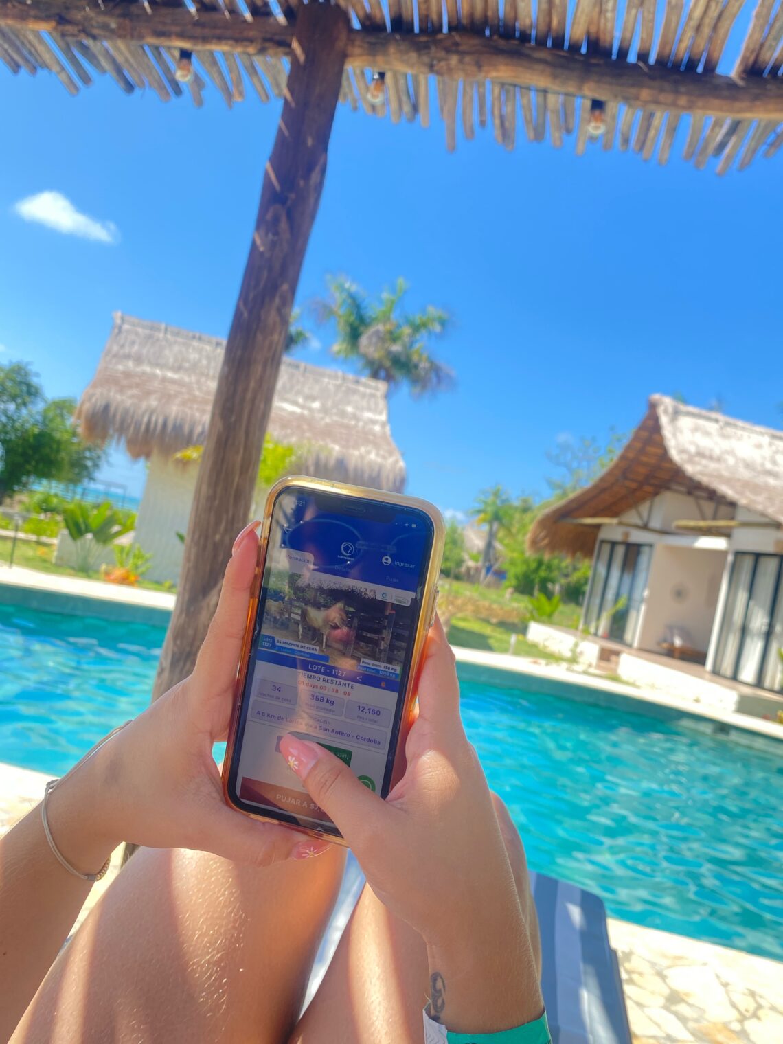 Subastanet: del martillo al clic