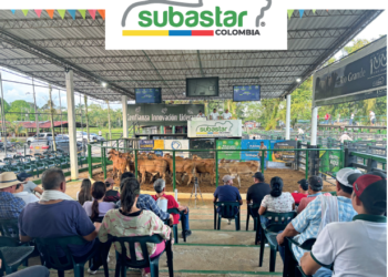 Subastar: