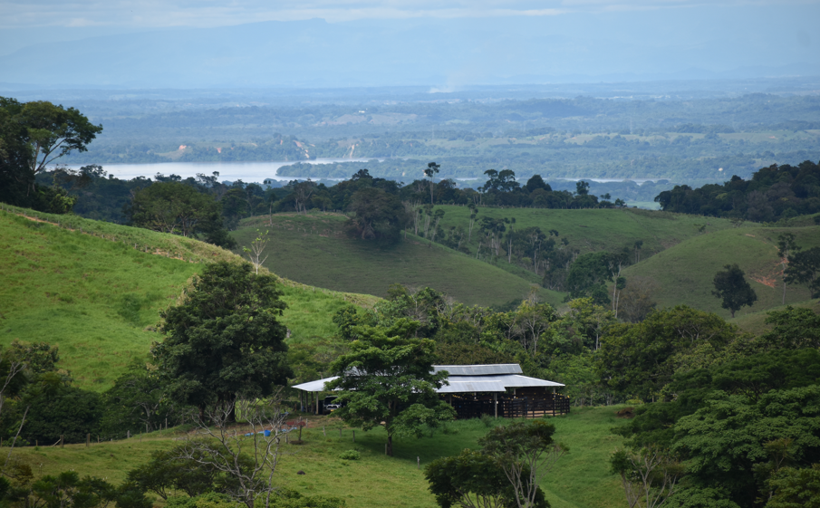Hacienda Oro