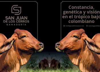 GANADERÍA SAN JUAN DE LOS CERROS