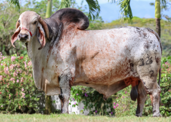 Hacienda El Empedrado