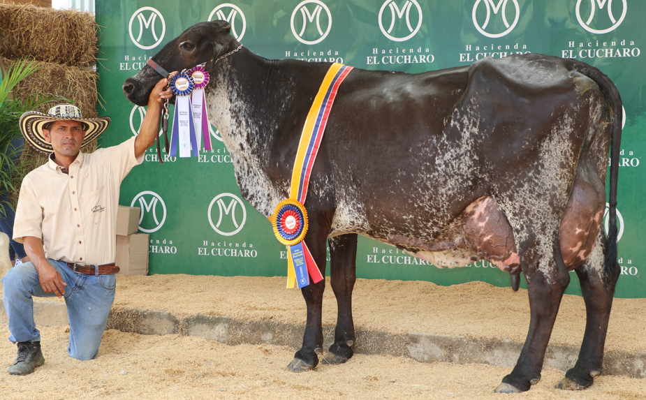 Hacienda El Empedrado