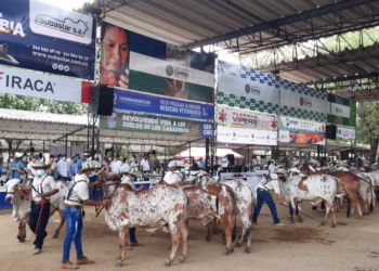 Expoterneros: nueva fecha del 9 al 15 de marzo