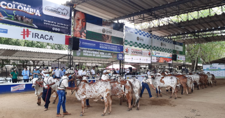 Expoterneros: nueva fecha del 9 al 15 de marzo