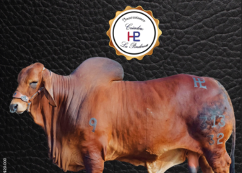 Hacienda Criadero La Ponderosa