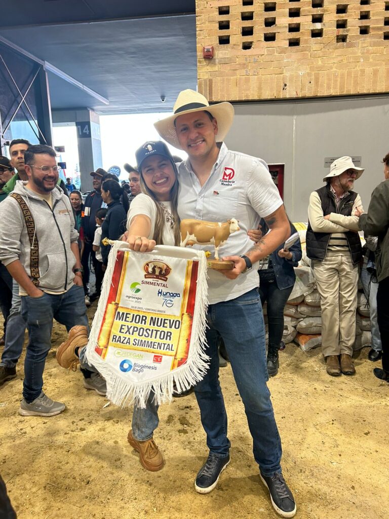 Simmental
