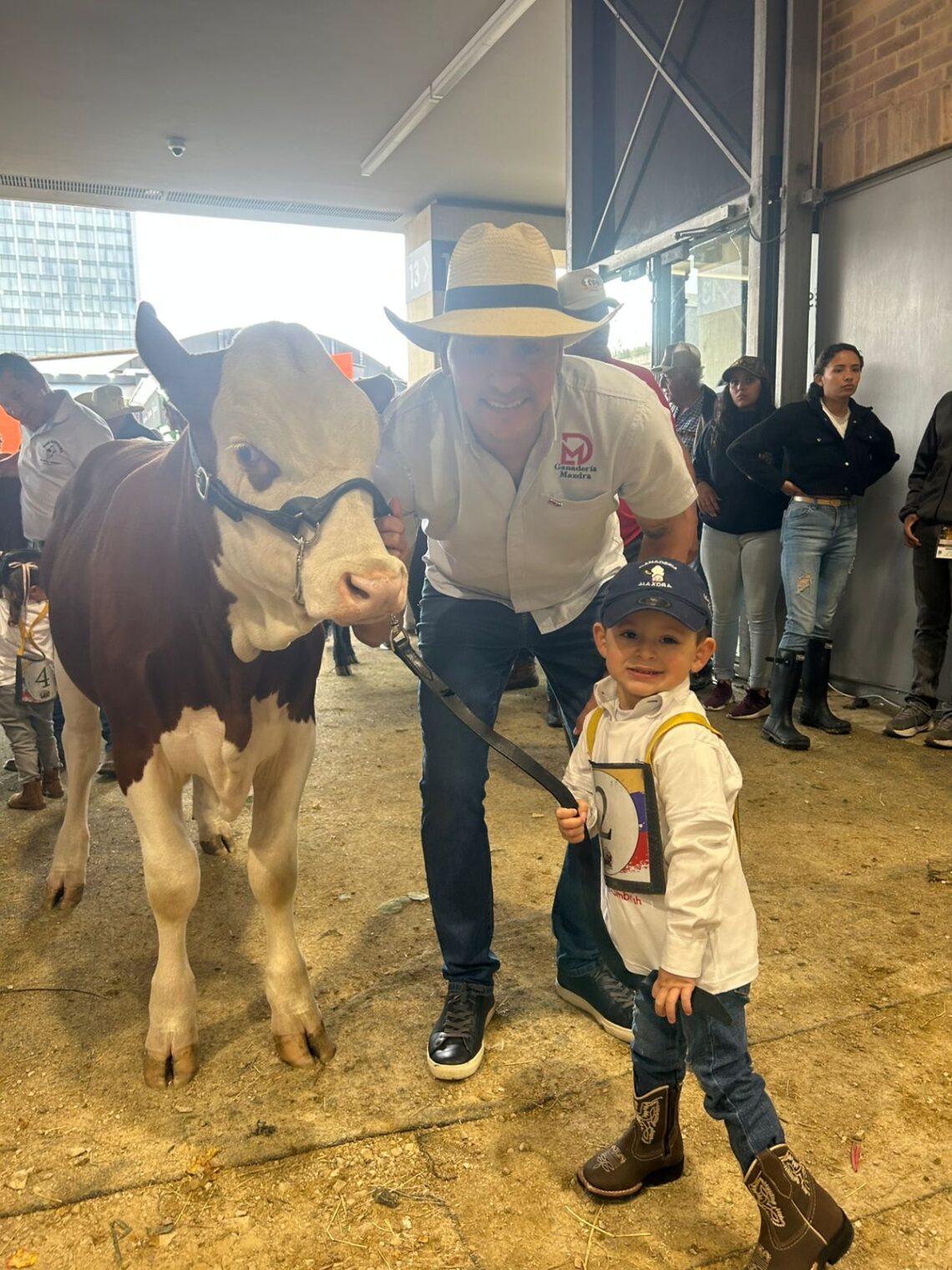 Ganadería Maxdra: Simmental de alto impacto en Colombia