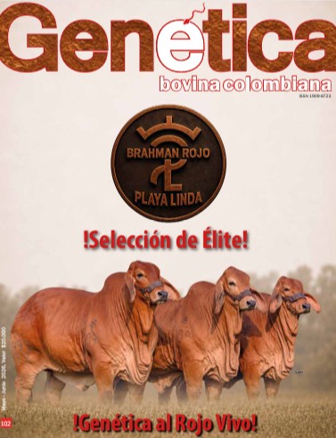 Edición Digital