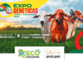 Anicam y Ecoholding apuestan por la ganadería de Casanare