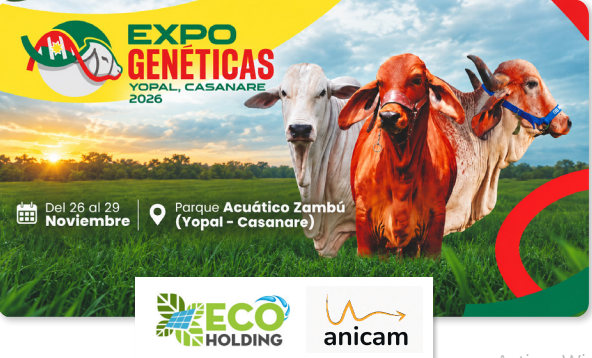 Anicam y Ecoholding apuestan por la ganadería de Casanare